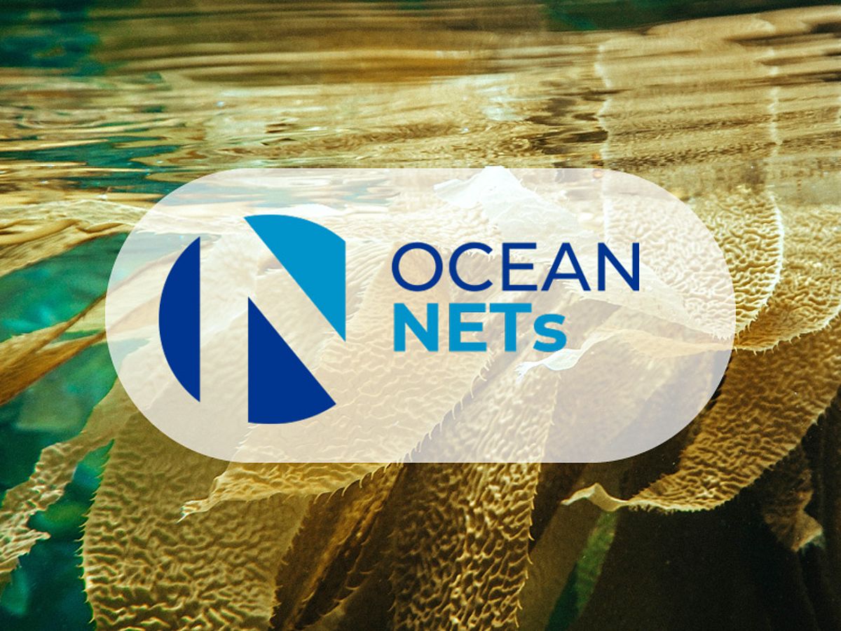 Logo and Visual OceanNETS