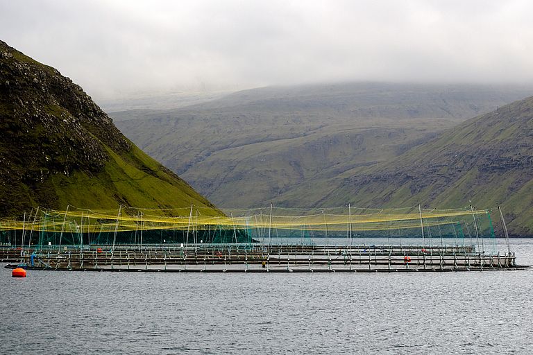 Aquakulturanlage vor den Färöer-Inseln, Foto: Jan Steffen, GEOMAR