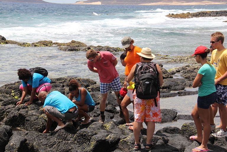 Exkursion an die vulkanische Küste zur Artenbestimmung von Meereslebewesen. Foto: J. Dengg, GEOMAR.