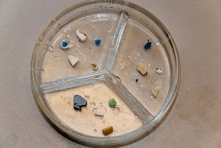 Microplastics - here samples from the expedition POS536 - are usually particles with a size of five millimetres and smaller. Photo: Mark Lenz/GEOMAR