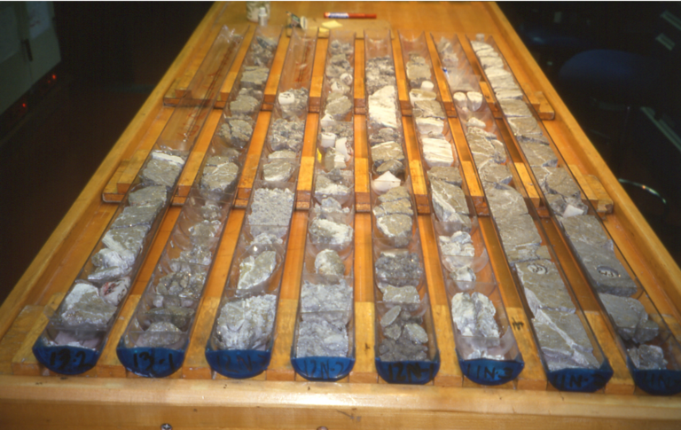 Halbierte Bohrkerne mit Gestein liegen auf einem Tisch