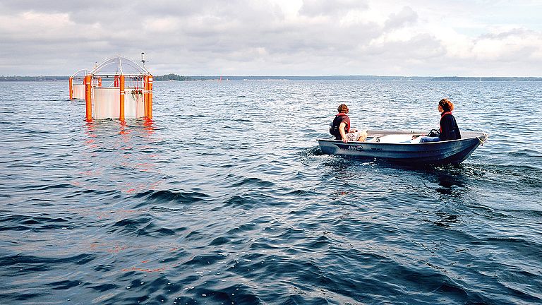 2012, Tvärminne, Finland: The experiment in Tvärminne focused on blue-green algae, which are considered the "winners" of ocean acidification. 
