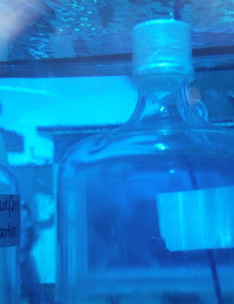 Auf Deck wurden Wasserproben für die Messung der Stickstofffixierungsraten inkubiert: Das Bild zeigt eine Inkubationsflasche. Foto: M. Visbeck, GEOMAR.