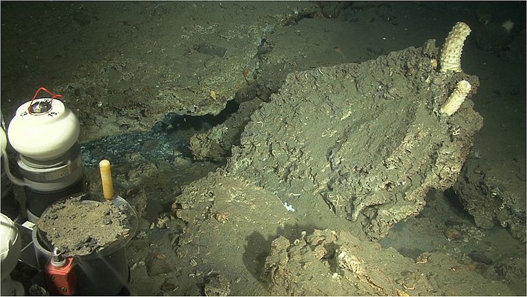 Carbonate crusts at the observing site HYBIS at 385 metres water depth. For comparison: the white organisms in the right part of the picture have a length of about 15 cm.  Carbonates of this size require several 100 years to build-up. Source: GEOMAR.