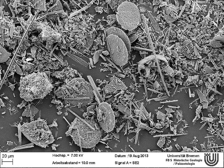 SEM Image of marine diatom mud. Photo: Gauvain Wiemer und Ricarda Dziadec /MARUM