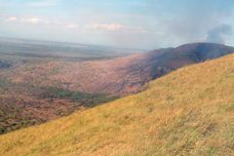 [Translate to English:] Die Caldera: Inzwischen eine Graslandschaft, rechts sieht man den aktiven Vulkan Masaya, der aus der Caldera gewachsen ist. 