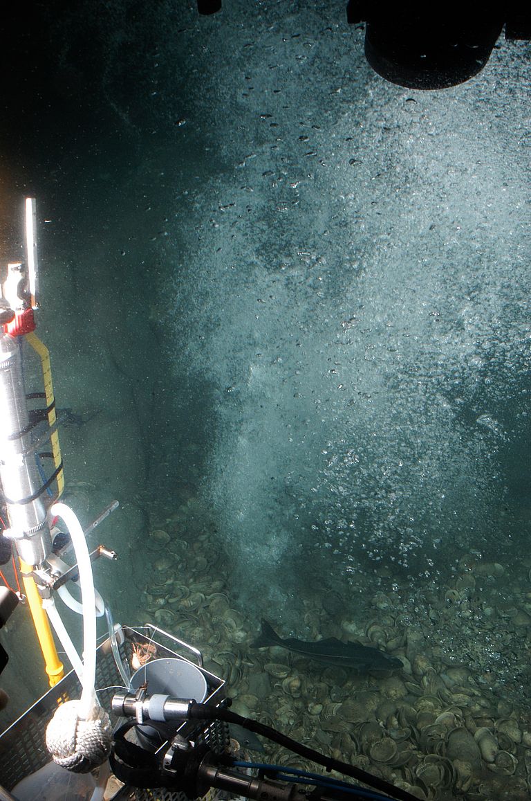 Gas escaping from the sea bed as seen from the research submersible JAGO. Image: JAGO-Team, GEOMAR