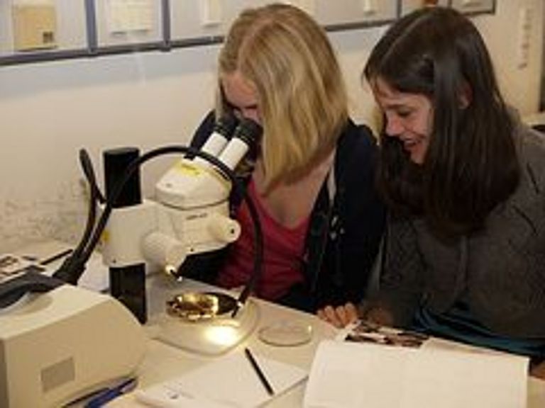 Katharina Munsche (li) und Jasmin Dehnen beim Mikroskopieren. Foto: I. Oelrichs, IFM-GEOMAR.