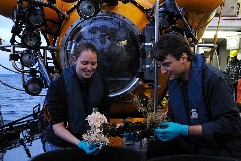 Fishery biologists investigate the effects of ocean acidification and warming on stocks that are relevant for the fishing industry. Photo: Kristina Bär, AWI