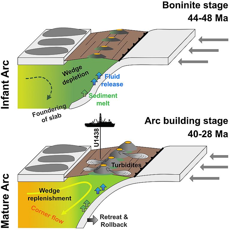 The graphic shows the early stages of the Izu-Bonin subduction zone. The active subduction zone has been moving eastwards throughout its history. The drilling took place where the process has begun. Graphic: Philipp Brandl, GEOMAR