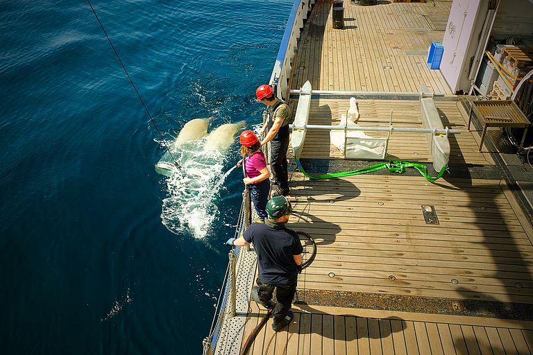 Using special nets, the team of expedition AL534/2 investigates the microplastic distribution off the coast of Western Europe. Photo: Expedition team AL534/2