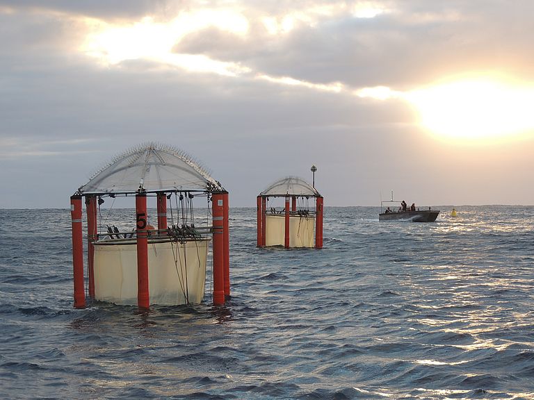 The mesocosms at sunrise off the coast of Gran Canaria. Photo: Ulf Riebesell/GEOMAR (CC BY 4.0)