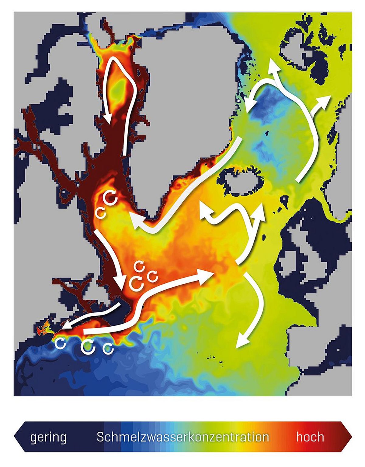 Konzentration (Farbschattierung) und Ausbreitungspfade (weiße Pfeile) grönländischen Schmelzwassers im oberen Ozean (hier bis 200 Meter Tiefe) im hochauflösenden Klimamodell FOCI-VIKING10, das Ozeanwirbel explizit simuliert. Modellierung und Visualisierung: Torge Martin / GEOMAR 