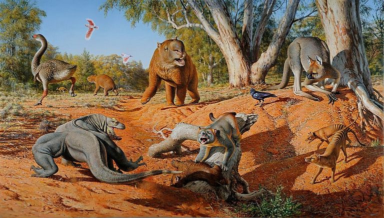 Einige heute ausgestorbene Tierarten, die bei Ankunft der Menschen in Australien gelebt haben. Bild: Peter Trusler