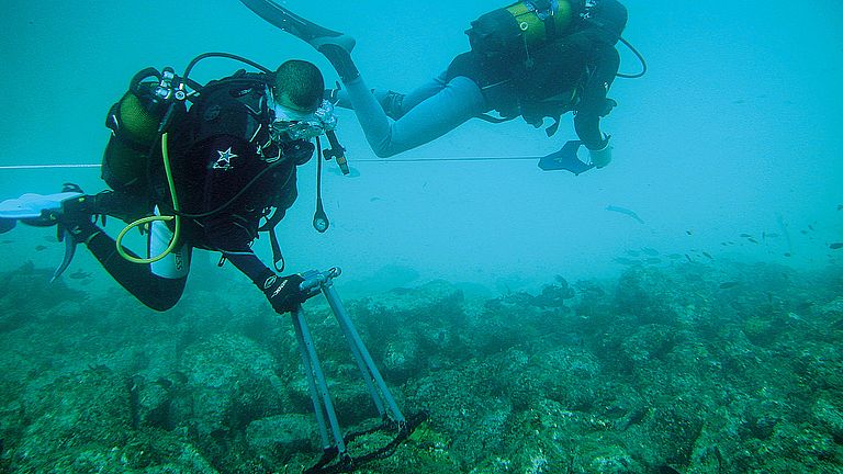 A scientific diver explores biological community structure in shallow water 