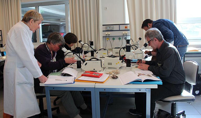 Heidi Gonschior (links) hilft bei der Identifizierung von Meeresorganismen unter dem Mikroskop. Foto: S. Dengg, GEOMAR