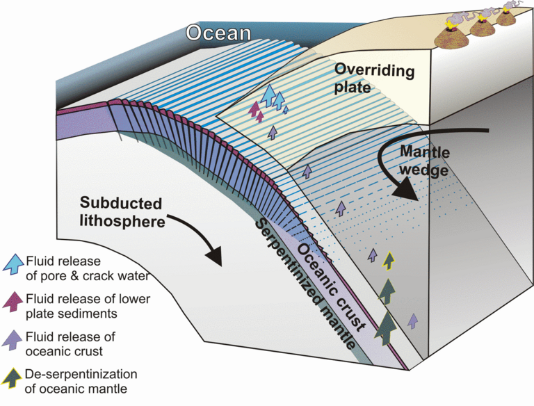 Water pathways at subduction zones: through large cracks formed during the subduction process of the oceanic plates water penetrates, is partly captured and transported in the mantle. There, high pressure and temperatures squeeze it out of the subducting plate and the water ascends back to the surface. graphic: Worzewski