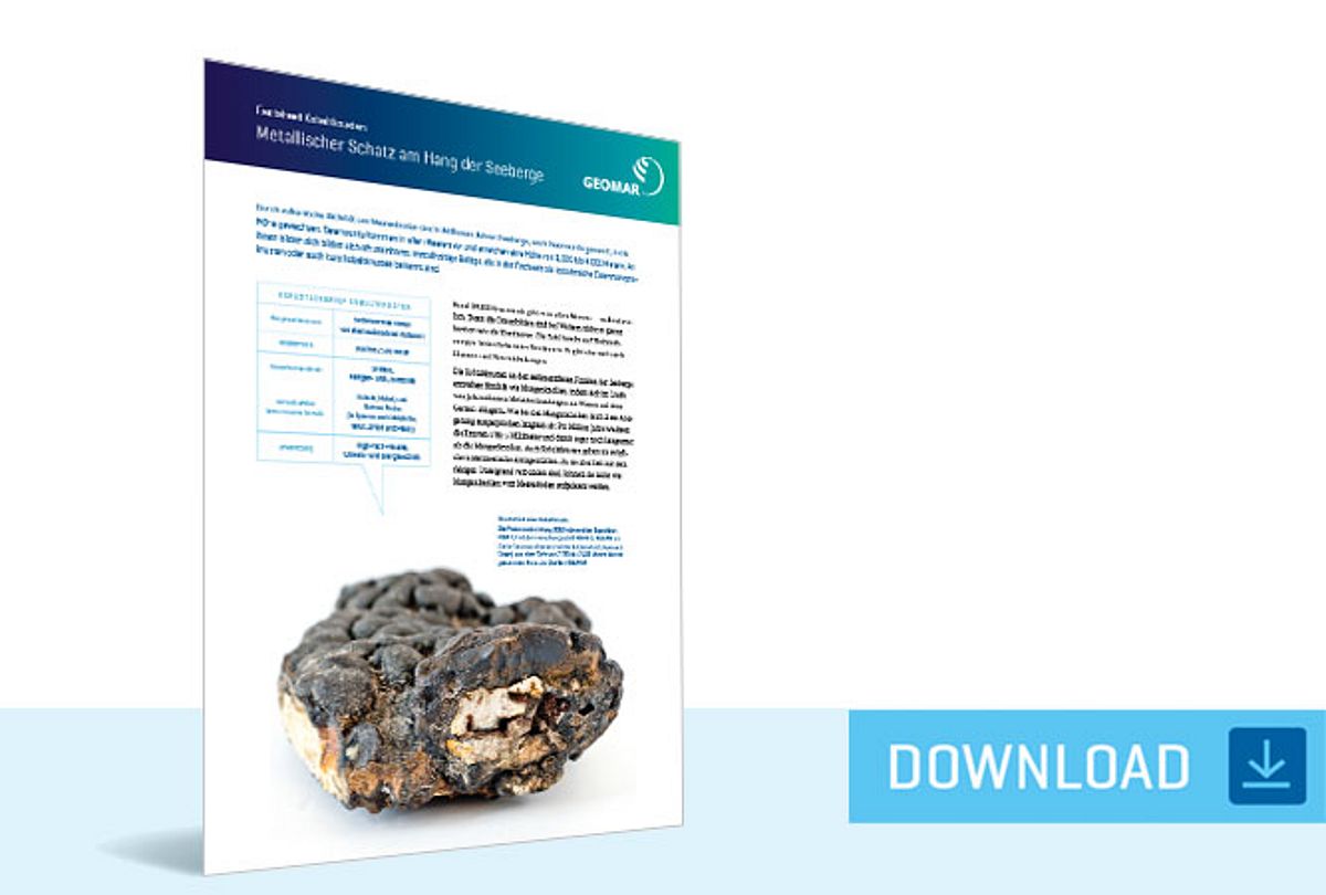Factsheet Cobalt-rich Crusts: Ore Treasure on the Slope of Seamounts
