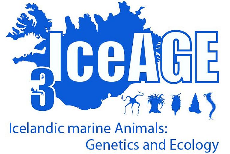 Logo of the  IceAGE project.