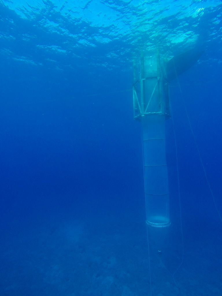 The mesoksomes separate a 15 meter long water column from the rest of the sea water. Photo: Michael Sswat/GEOMAR (CC BY 4.0)
