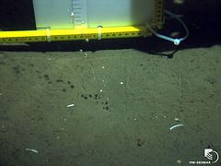 Measuring gas bubbles at Tommeliten methane seep area during an expedition 2009. Foto: ROV-Team, IFM-GEOMAR