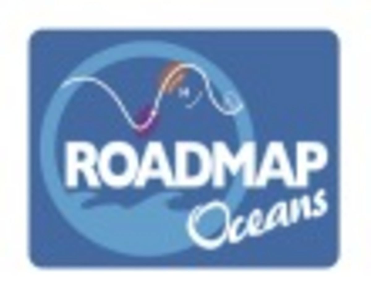 [Translate to English:] ROADMAP logo