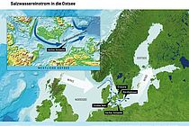 Windantriebe (weiss) und Salzwasserzufuhr durch das dänische Archipel in die zentrale Ostsee (blaue Pfeile). Grafik: C. Kersten, GEOMAR.