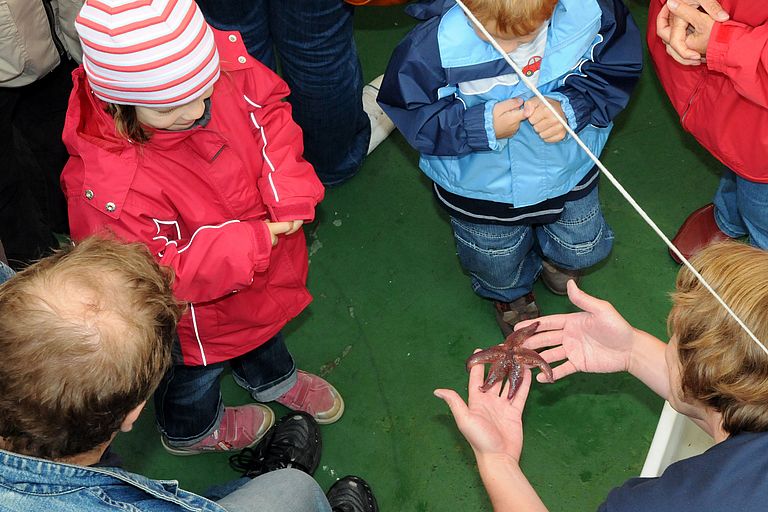 Bei dem beliebten Programm "Meerestiere zum Anfassen" können große und kleine Besucher Meerestiere der Ostsee hautnah erleben. Foto: J. Steffen. GEOMAR
