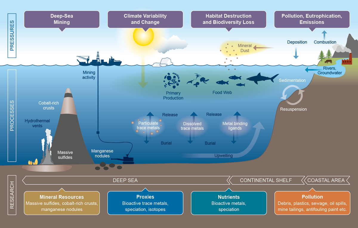 Overview of processes and research topics of the IRF "Metals in the Ocean". Illustration: Christoph Kersten/GEOMAR 