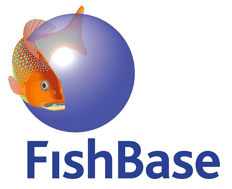 [Translate to English:] FischBase Logo. Quelle Fishbase