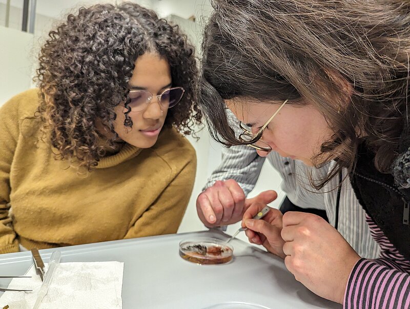 Junge Forscherinnen im Labor mit Probe einer Alge