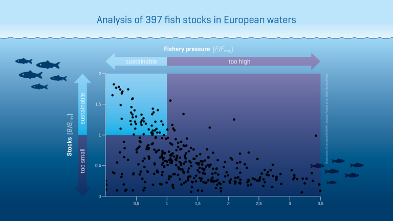 According to an analysis of 397 fish stocks in European waters from 2013 to 2015, only 46 stocks (12 percent) meet sustainable fishing criteria. 