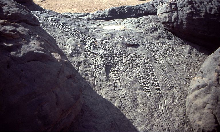 Approximately 8,000 year-old rock carvings of two giraffes from Dabous, Niger, documenting that the Sahara was a green fertile Savannah at that time. Photo: Albert Backer via Wikimedia Commons, CC BY-SA 3.0