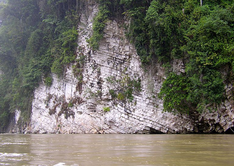 Lime-stone formation at the Changinola river, Panama. Photo: Kaj Hoernle, GEOMAR