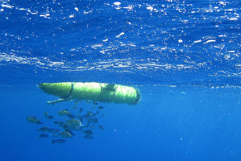 Nach zwei Monaten im tropischen Atlantik waren die Gleiter selbst zu einem Teil des Ökosystems geworden. Foto: M. Müller, IFM-GEOMAR