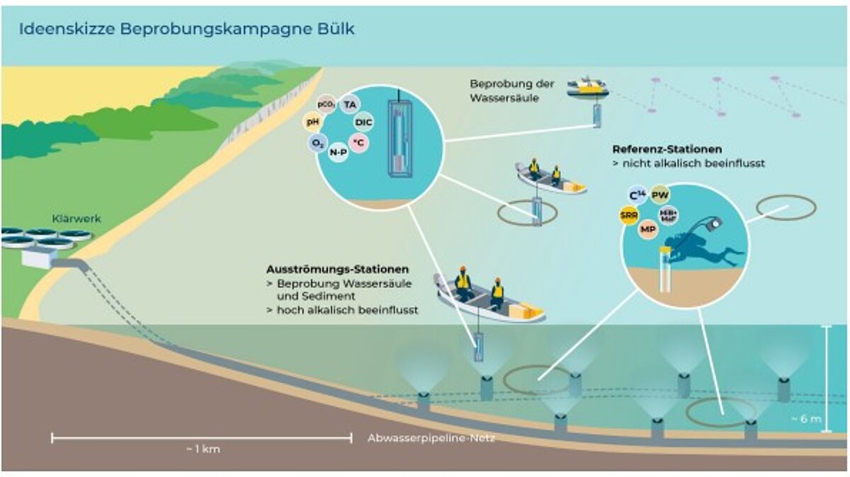 Bülk Artwork