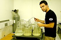 Der Biogeochemiker Mario Lebrato während seiner Arbeit im Labor am NOCS. Foto: Lebrato