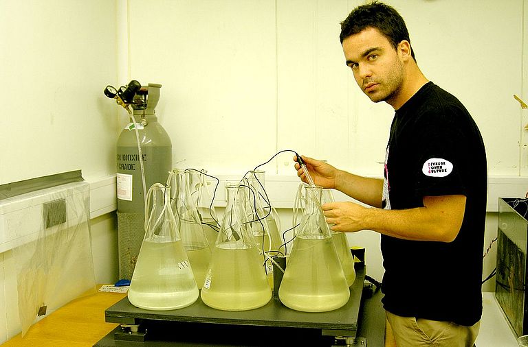 Der Biogeochemiker Mario Lebrato während seiner Arbeit im Labor am NOCS. Foto: Lebrato