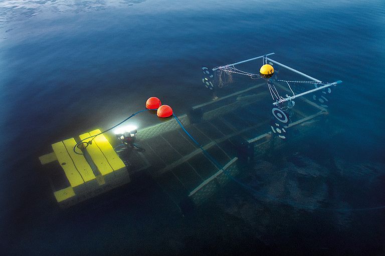 VIATOR ist ein autonomes Kettenfahrzeug, das den Meeresboden erkunden und physikalische und biochemische Messungen durchführen kann. Foto: Sascha Flögel, GEOMAR.