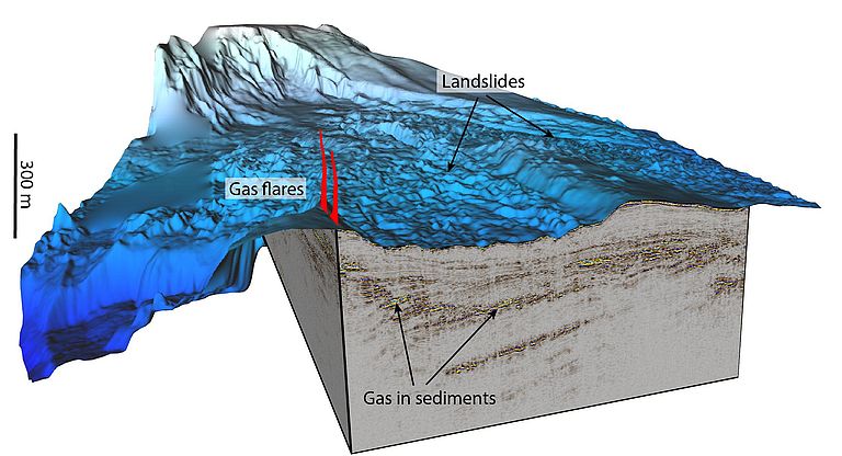 3D-Seismik des Meeresbodens vor der Ostküste Neuseelands. Deutlich zu erkennen große Ablagerungen von Hangrutschungen, aber auch Gasaustritte und freies Gas im Sediment. Grafik: Sebastian Krastel, Uni Kiel