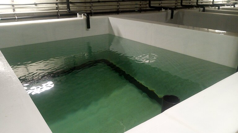 [Translate to English:]  Water basin