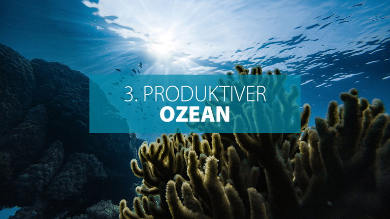 Ziel 3: Produktiver Ozean 