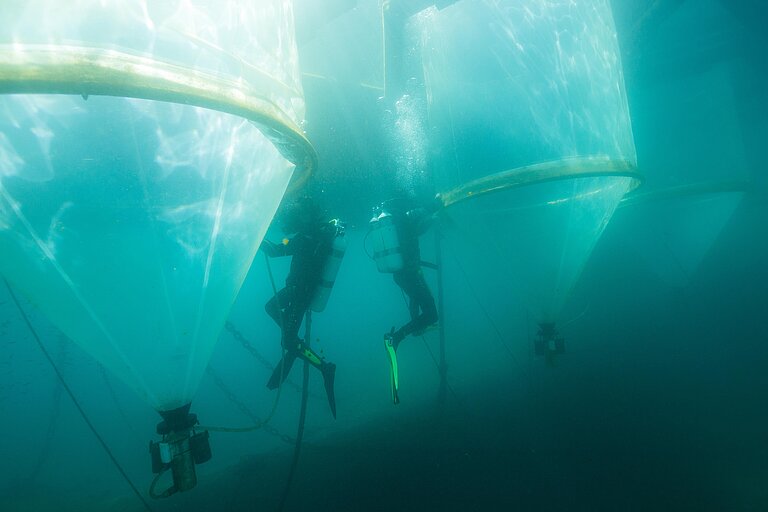 Zwei Taucher unter Wasser an großen transparenten Foliensäcken