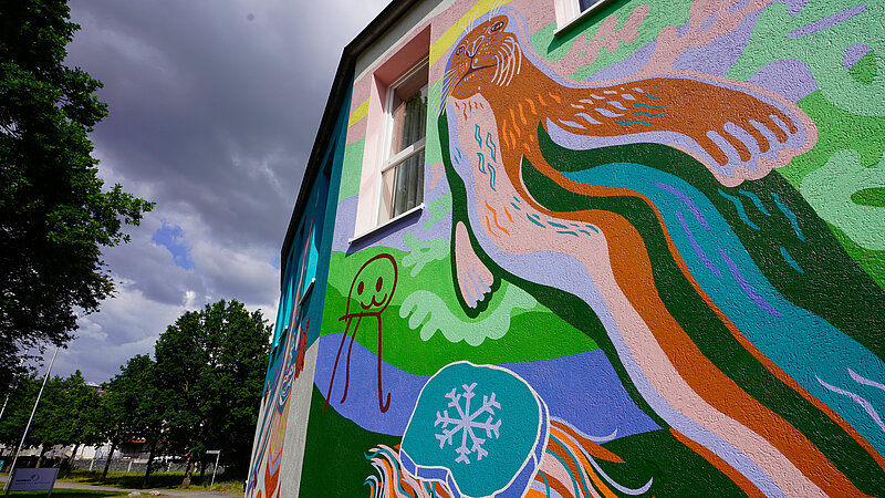 Eine große Robbe, mit bunten Farben an eine Häuserwand gemalt
