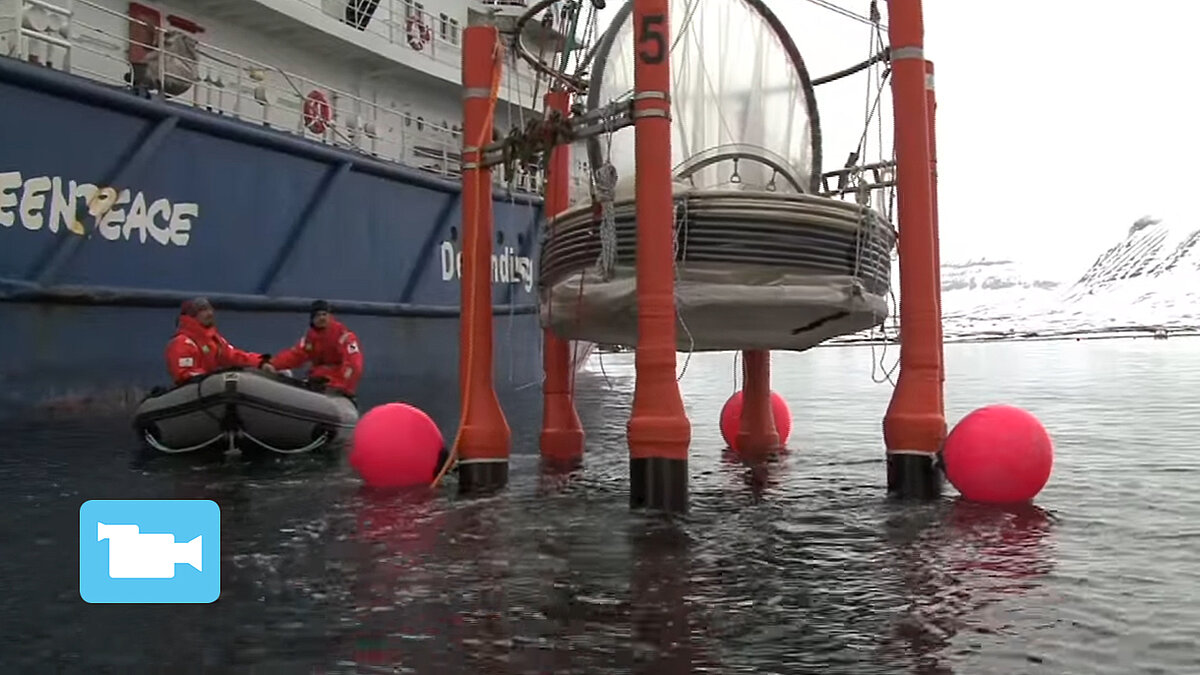 Ocean Acidification: An Ecosystem Facing Dissolution