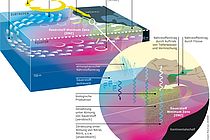 Zahlreiche Faktoren - darunter die Temperatur des Oberflächenwasseers, Strömungen, Wirbel, biogeochemische Prozesse - beeinflussen die Menge des Sauerstoffs in den Ozeanen. Bisher können Modelle nicht alle Prozesse richtig abbilden und unterschätzen daher den Sauerstoffverlust der Meere. Grafik: Rita Erven/GEOMAR