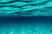 Die Wasseroberfläche von unten.