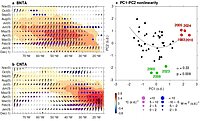 Distinct evolution of heat flux feedback and consequential nonlinearity in two flavors of the NTA mode.