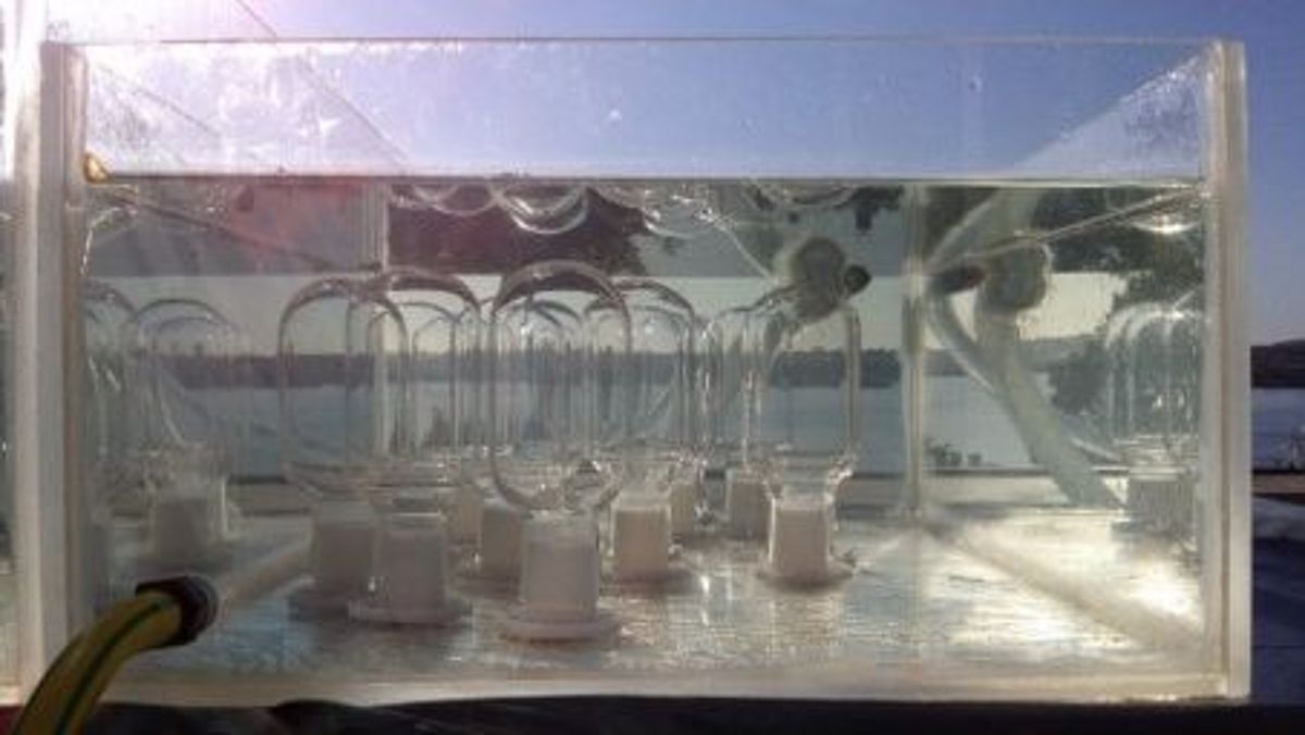 Aufbau einer Spurengas-Inkubation  in einem Aquarium an Board von SONNE