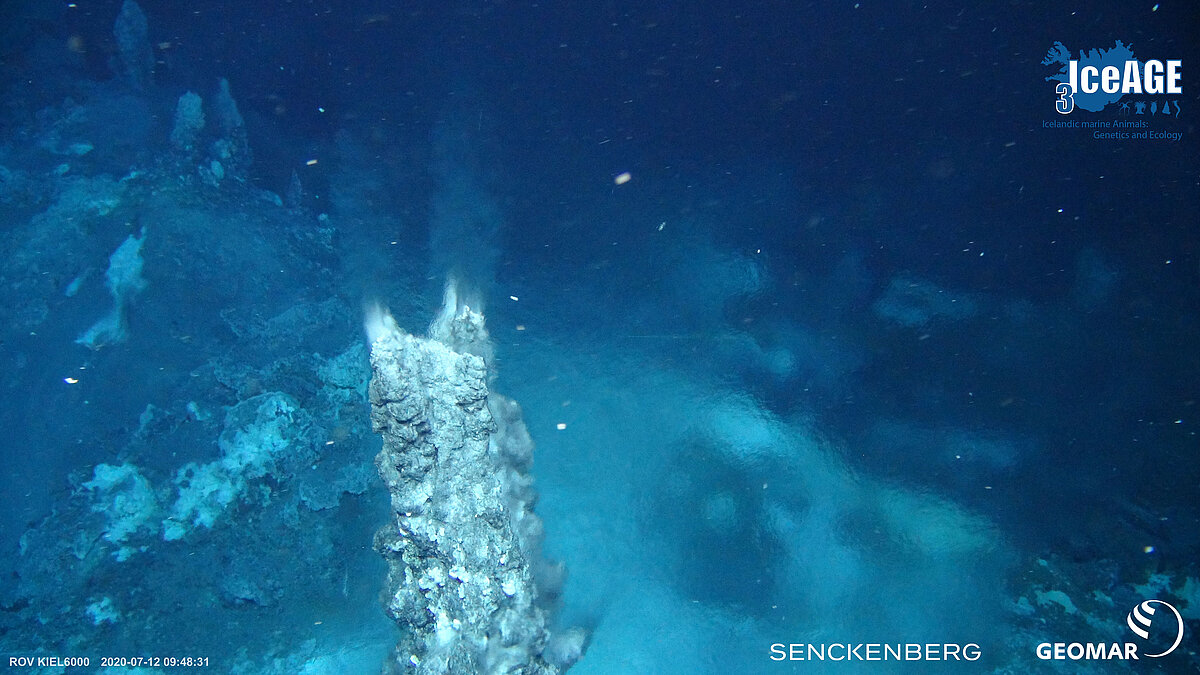 ROV KIEL 6000 discovers ‘clear smokers’ off Iceland